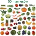 Fruit and Vegetable Magnet Set 50 pieces MV 6032-42