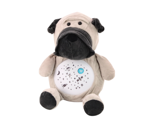 Teddy Bear Sleeping Lights Sounds Night and Day Mode Dog