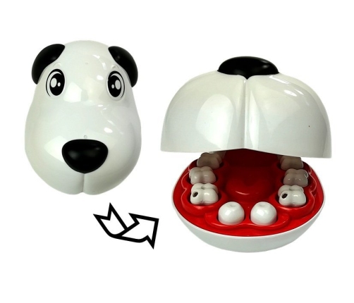 Set od Vet Dog Dentist Table 43 Elements