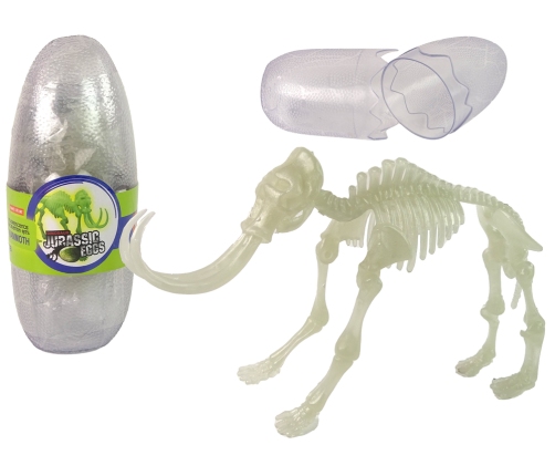 Glow-in-the-Dark 3D Skeleton Mammoth Dinosaurs in an Egg