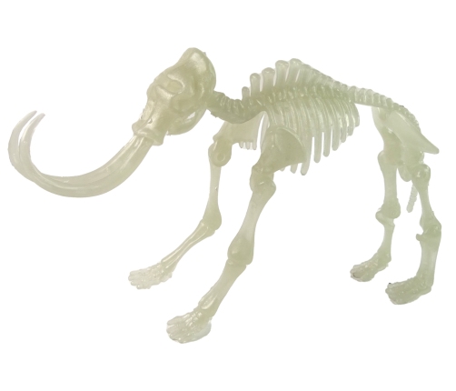 Glow-in-the-Dark 3D Skeleton Mammoth Dinosaurs in an Egg