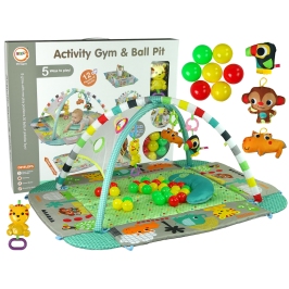 Interactive Educational Baby Pool Mat 5in1 with Balls Tigger