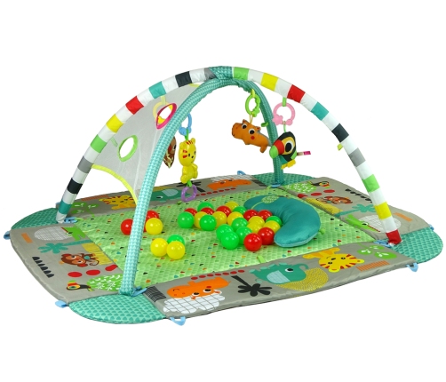 Interactive Educational Baby Pool Mat 5in1 with Balls Tigger