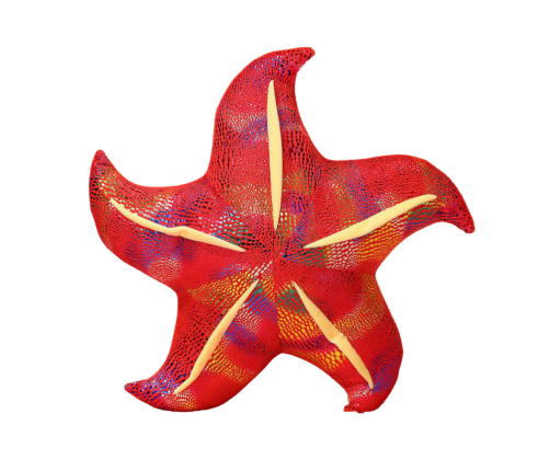 Mascot Plush Starfish Red Pillow 20 cm