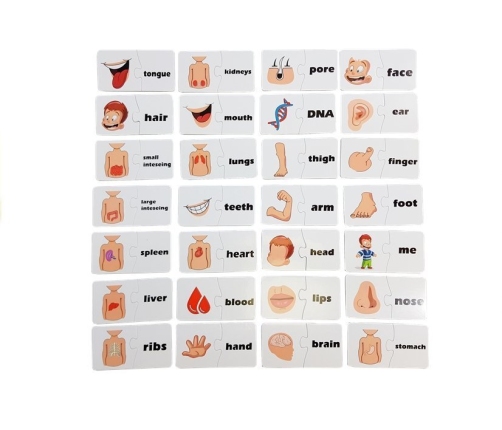 Educational Puzzle Learning Body Parts 30 Elements