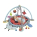 Educational Mat Ladybird Playpen Balls for Baby