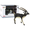 Blackbuck Antelope Collector's Figurine Animals of the World