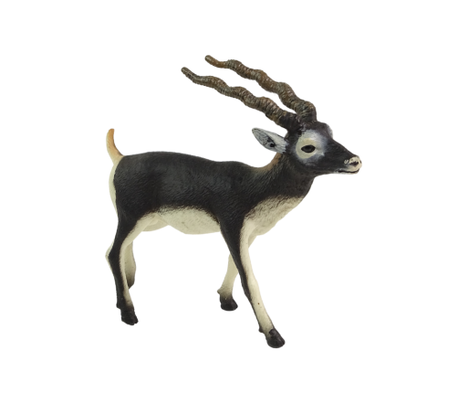 Blackbuck Antelope Collector's Figurine Animals of the World