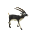 Blackbuck Antelope Collector's Figurine Animals of the World