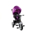 Tricycle Bike PRO500 - Violet