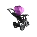 Tricycle Bike PRO500 - Violet