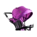 Tricycle Bike PRO500 - Violet