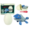 Set Dinosaur Mosasaur with Egg DIY Screwdriver Blue