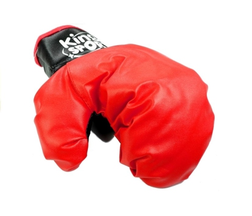 Big Boxer Set For Kids + Gloves Pear Stand