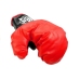 Big Boxer Set For Kids + Gloves Pear Stand