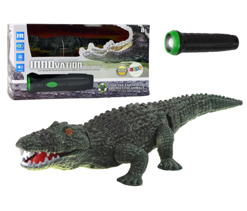 Remote Controlled Crocodile Torch Control