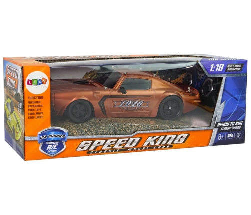 R/C Sports Car 1:18 Brown Champion Pilot