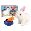 Interactive Bunny Rabbit Mascot White Carrot Bowl