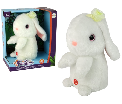 Dancing Rabbit Repeating Sounds Music White