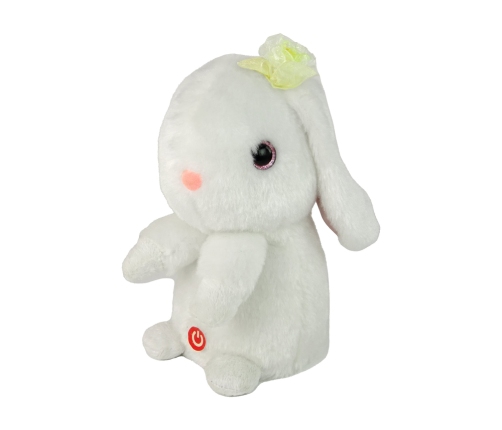 Dancing Rabbit Repeating Sounds Music White