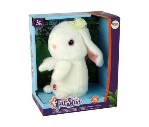 Dancing Rabbit Repeating Sounds Music White