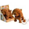 Interactive Dog On a Leash with Dog House Poodle