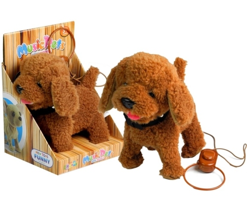 Interactive Dog On a Leash with Dog House Poodle