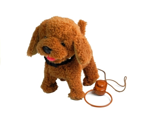 Interactive Dog On a Leash with Dog House Poodle