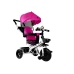 Tricycle PRO300 Pink