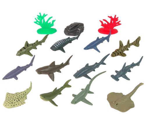 Set Marine Animals Sharks Figures 12pcs. Accessories in tube