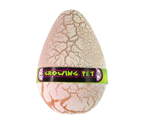 Growing Dinosaur Egg 12 cm