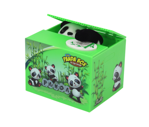 Panda Piggy Bank Learning to Save Teddy Bear Green Box