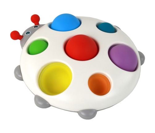 Silicone Board Colorful Ladybug Pop It Educational