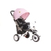 Tricycle Bike PRO400 -  Pink