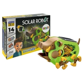 Educational Solar Robot Boar DIY