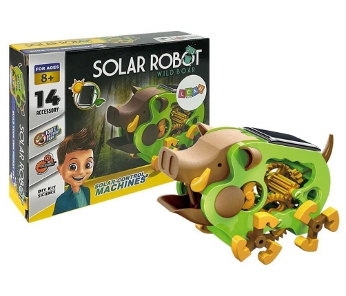 Educational Solar Robot Boar DIY