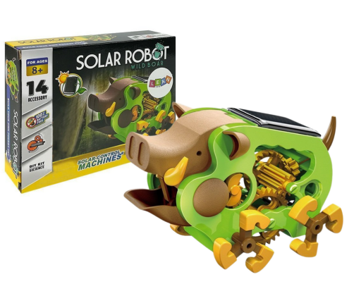 Educational Solar Robot Boar DIY