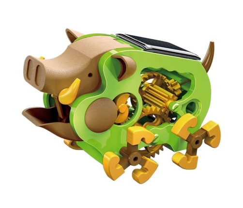 Educational Solar Robot Boar DIY