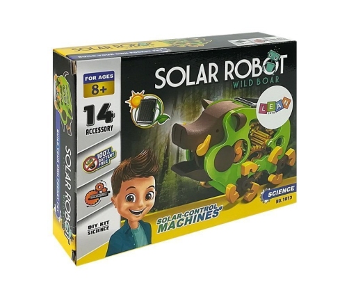 Educational Solar Robot Boar DIY