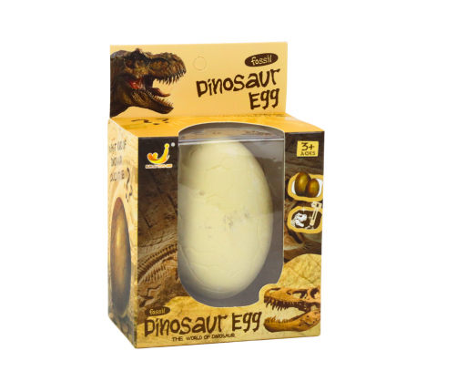 Archaeologist Set Dinosaur Egg Excavation Fossil Tools