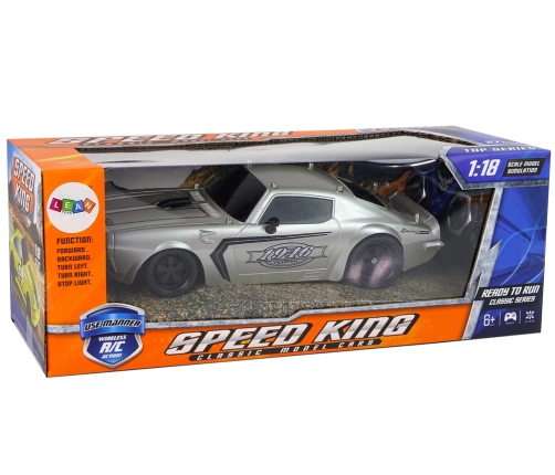 R/C 1:18 Silver Champion Pilot  Sports Car