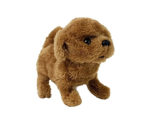 Interactive Puppy Battery Operated Brown Walks Moves His Tail Sound