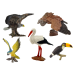 Birds of the World Figure Set