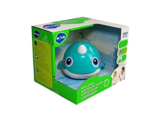 Educational Whale for Baby Sprinkling Water