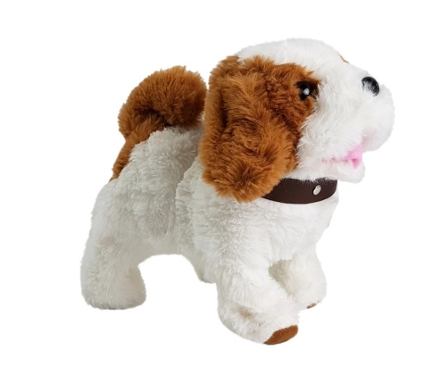 Battery-operated Plush Dog White in Brown Patched Accessories Sound