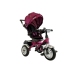 Tricycle Bike PRO500 - Burgundy