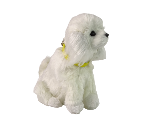 Interactive Plush Dog Soft fur Breed Poodle Stroke its head and learn its functions