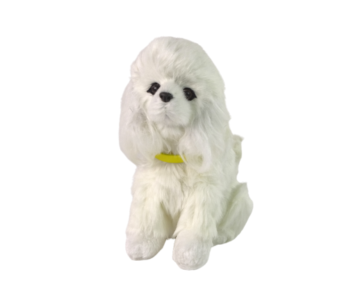 Interactive Plush Dog Soft fur Breed Poodle Stroke its head and learn its functions