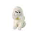 Interactive Plush Dog Soft fur Breed Poodle Stroke its head and learn its functions