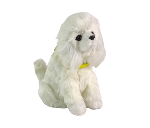 Interactive Plush Dog Soft fur Breed Poodle Stroke its head and learn its functions